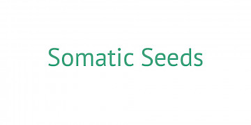 Somatic Seeds