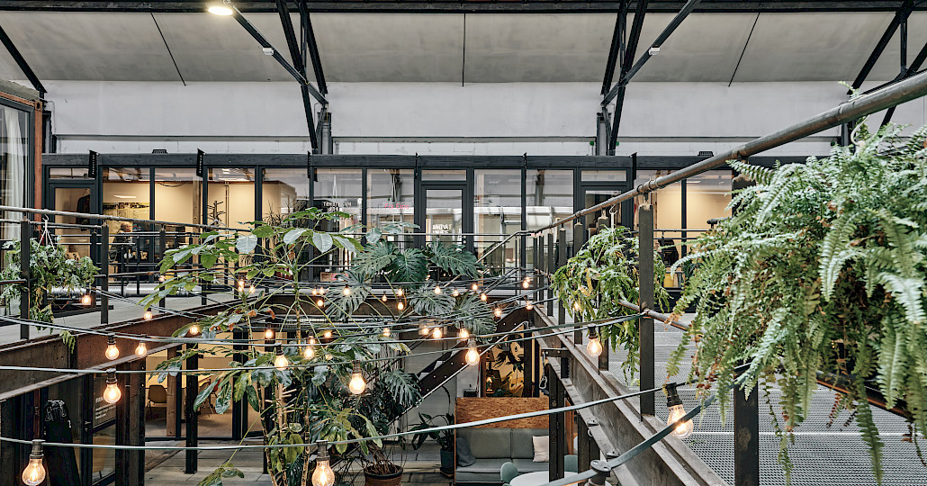 Green plant jungle and fairy lights at the coworking location Kreativpark Lokhalle