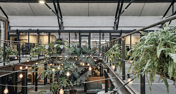 Lichterketten und Pflanzen am Coworkingstandort Kreativpark Lokhalle